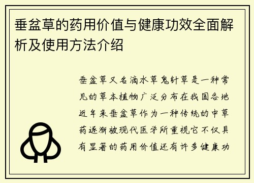 垂盆草的药用价值与健康功效全面解析及使用方法介绍