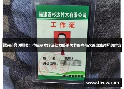 葛洪药膏说明书：传统草本疗法助力舒缓关节疼痛与改善血液循环的妙方